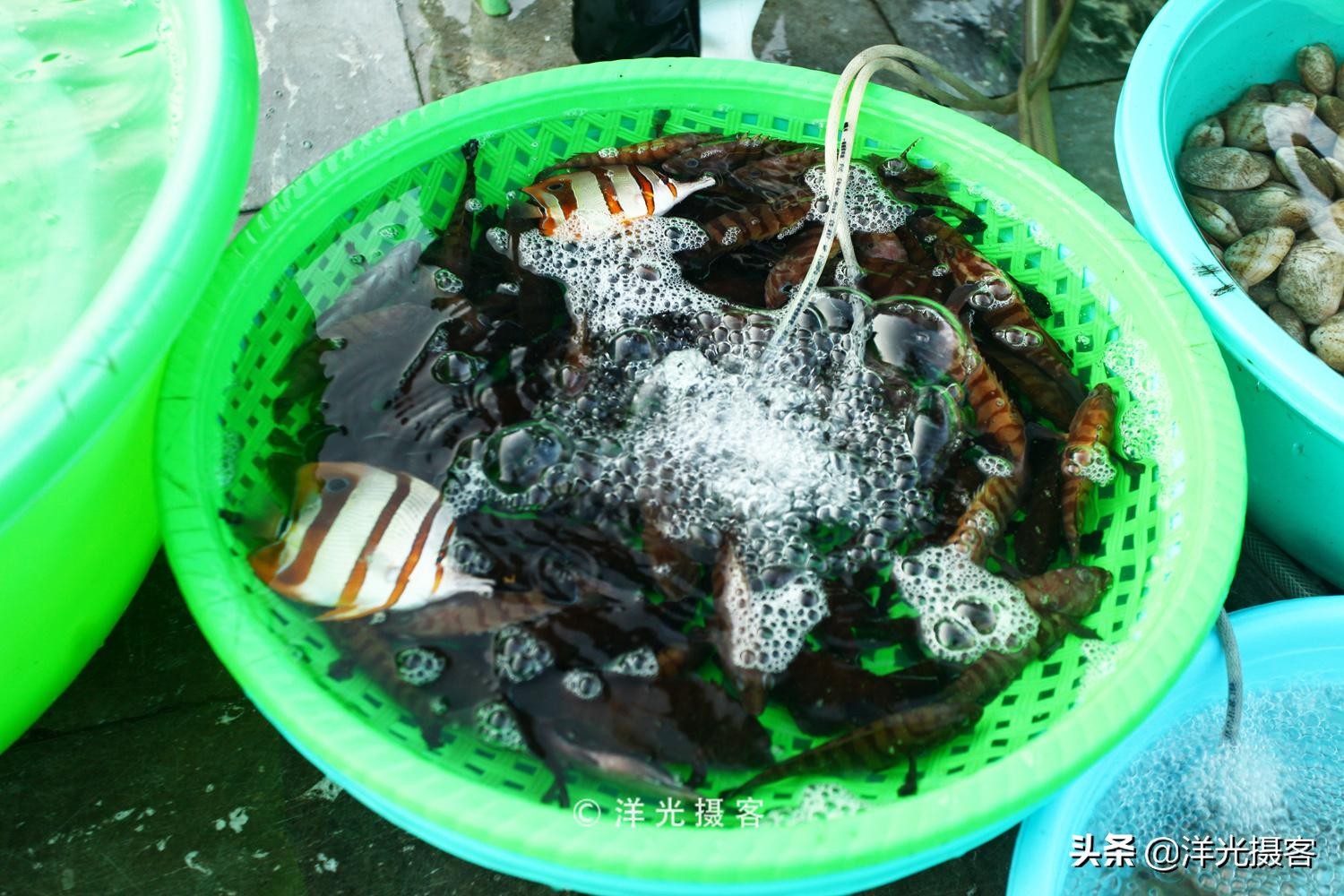 去越南下龙湾玩为什么都要自费,越南下龙湾优惠