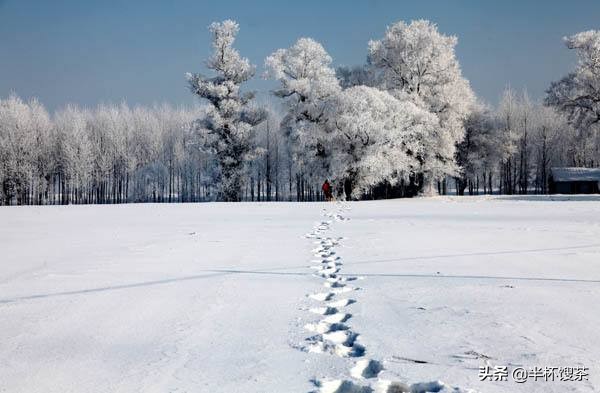 璇磋皪1946,璇磋皪