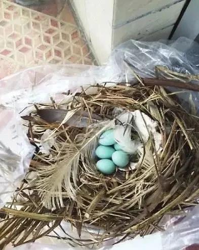 tiffany蓝是哪一年的流行色,tiffany蓝是什么英文