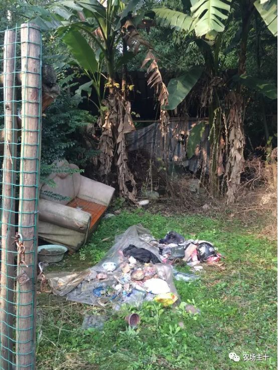 总共花了不到700元改造的废弃小院,花4万改造房子