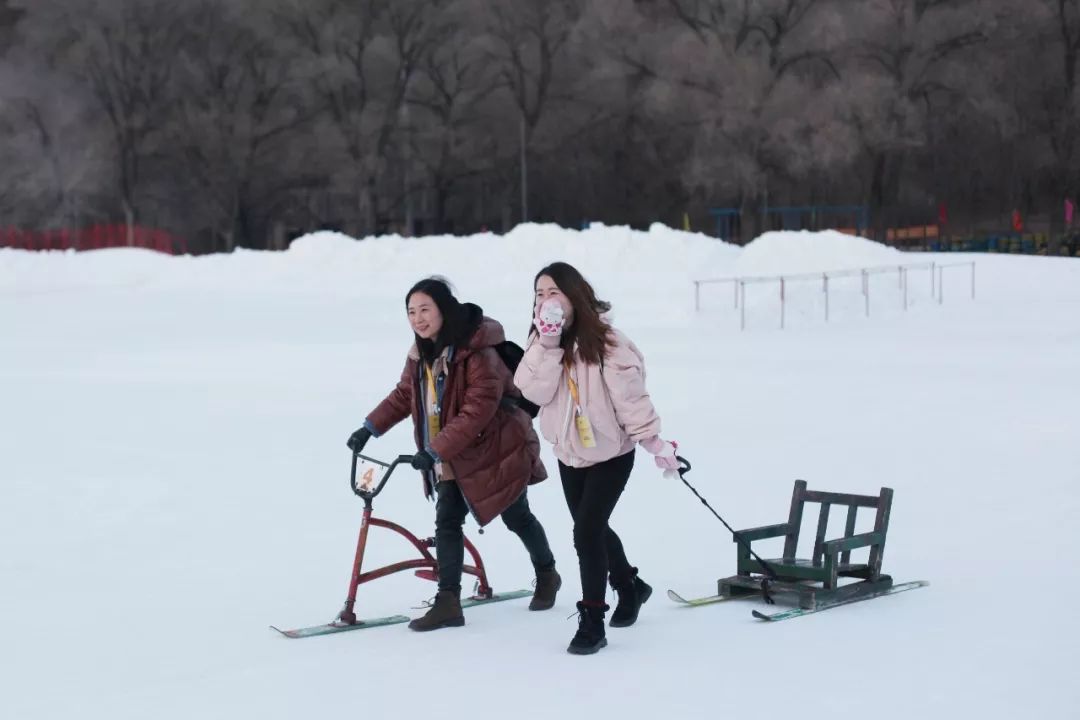 机票不到800元，第2次东北沈阳之旅，1个鸡架配老雪！