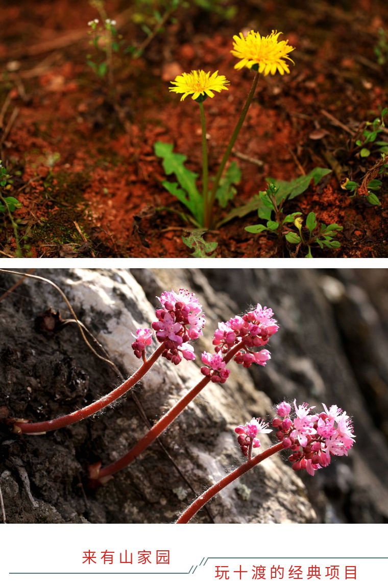 小众民宿住宿推荐,湖北郊游民宿