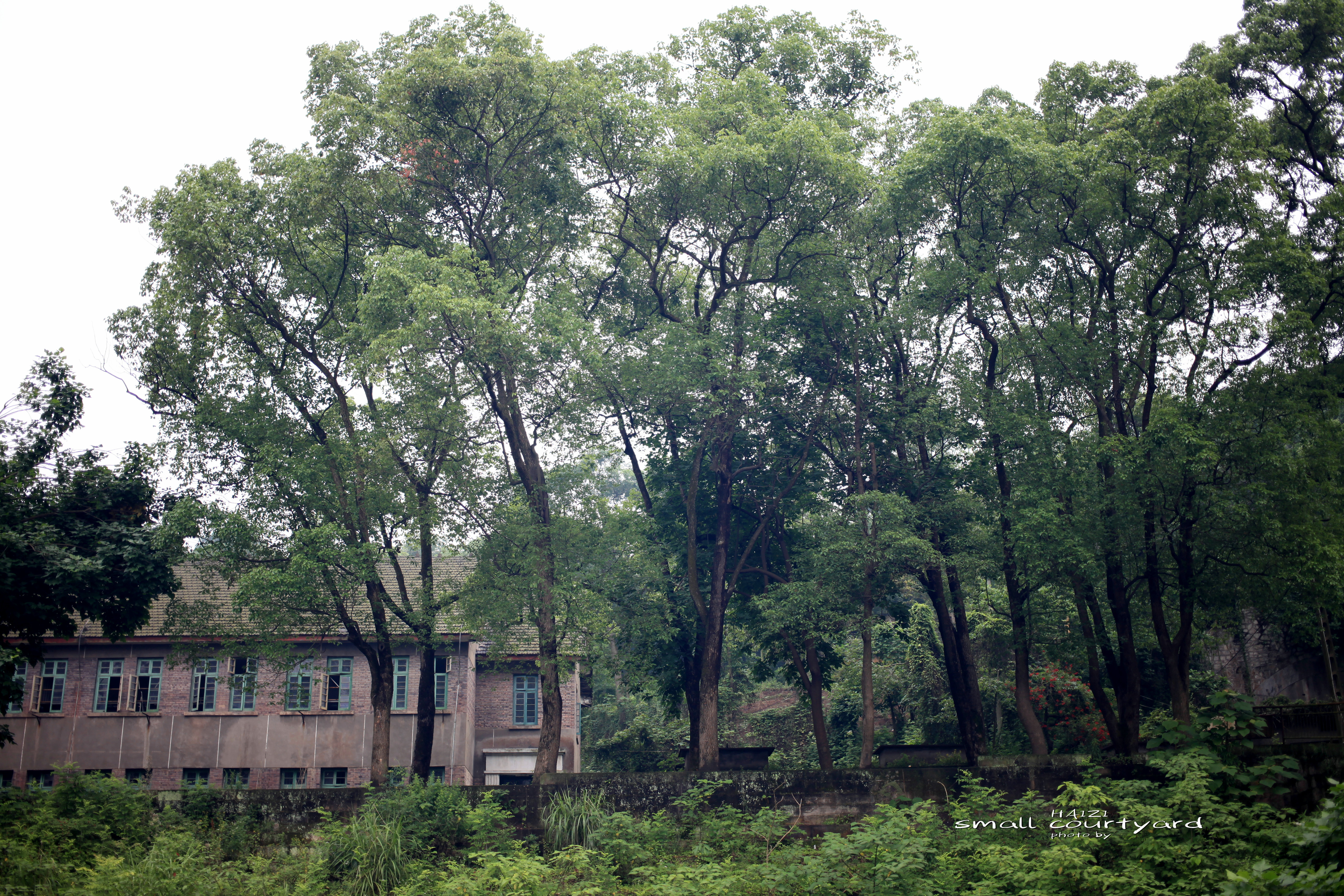 北碚区原三线建设老厂区,北碚机械工业部第三设计院