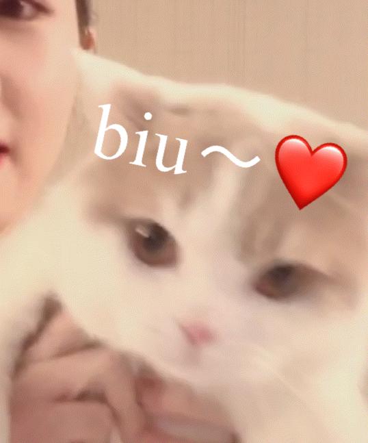 夏日气质显瘦泳衣,夏天泳衣怎么选