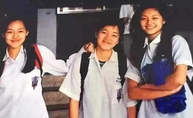 大s的脸型是怎么由宽变窄的,大s脸型适合高鼻梁吗