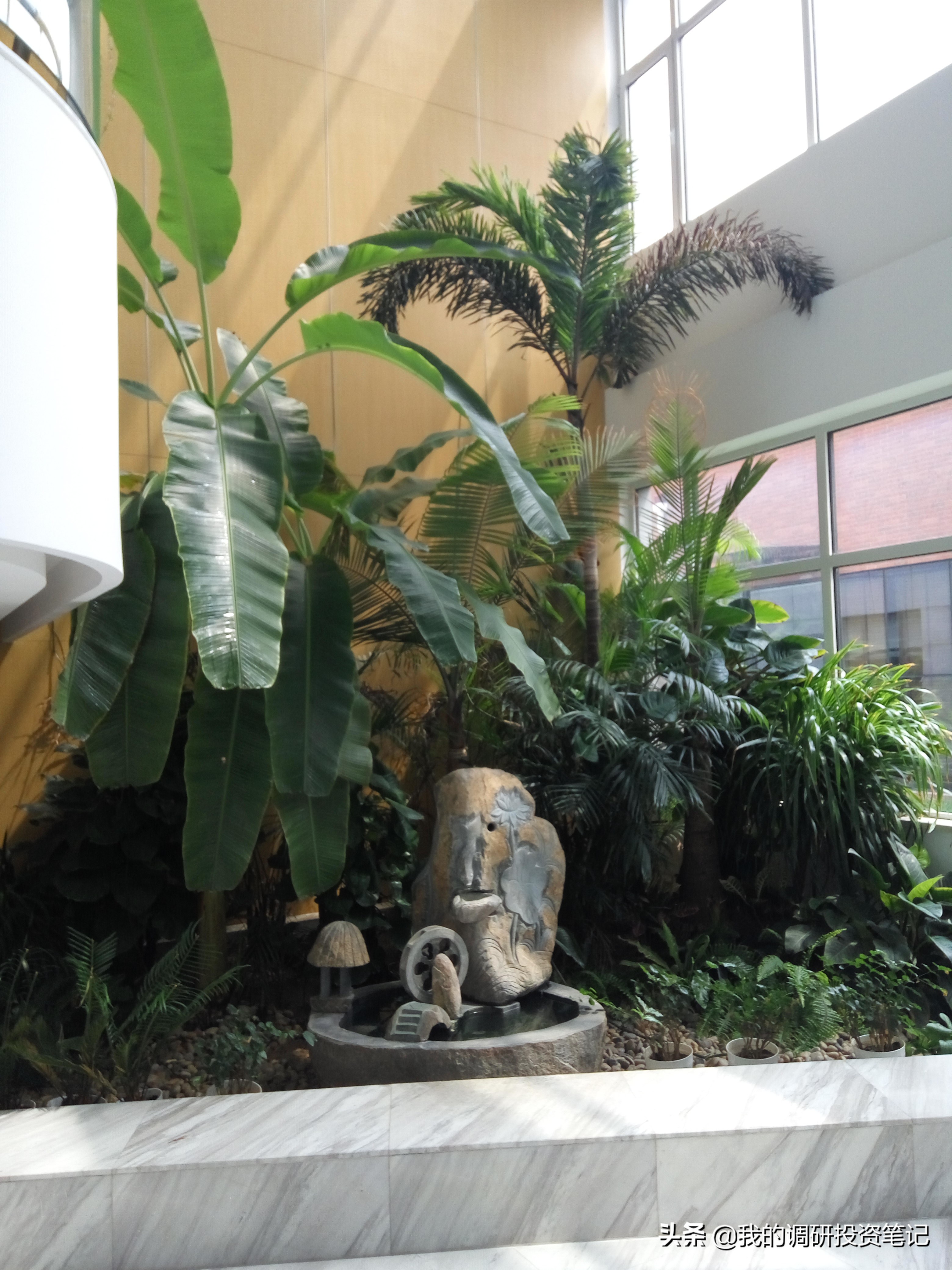 上市公司游记系列：欲往高处走的蓝帆医疗