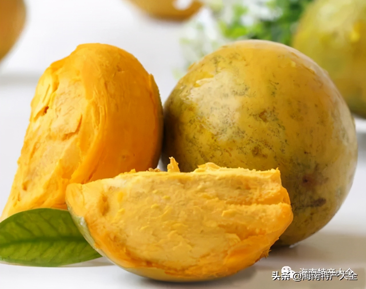 海南热带水果品种大全,海南热带水果园攻略