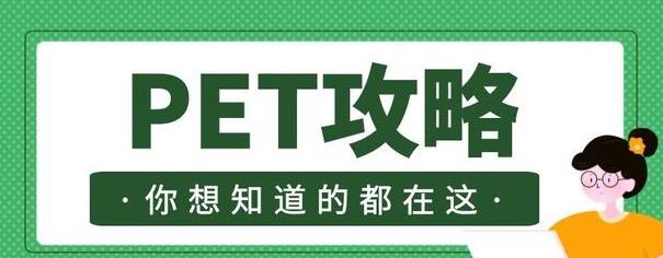 PET写作中因果关系表达要点总结