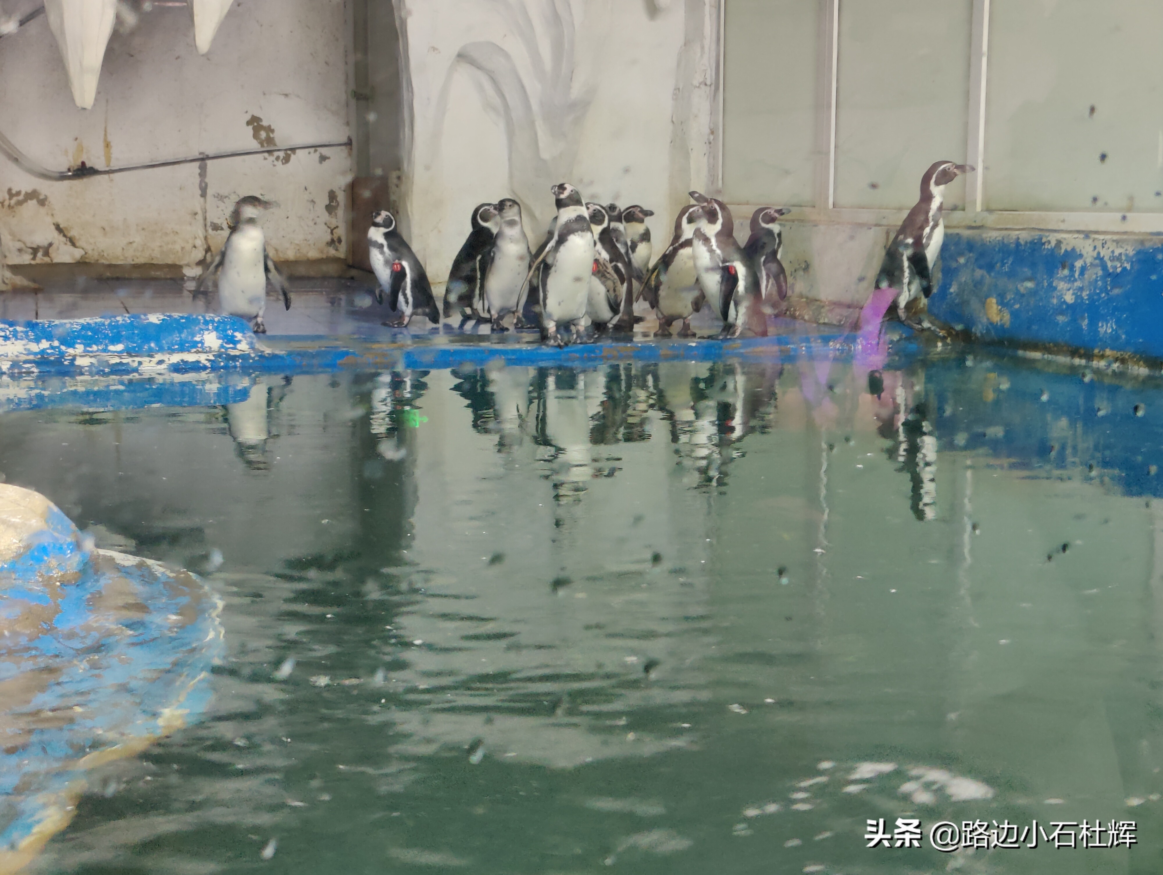 北京海洋馆游玩一览表,北京太平洋海洋馆海底世界