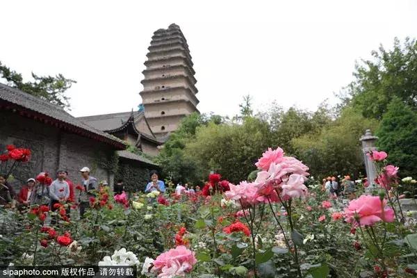 6月北京机票怎么买便宜,7月国内哪里旅行机票便宜