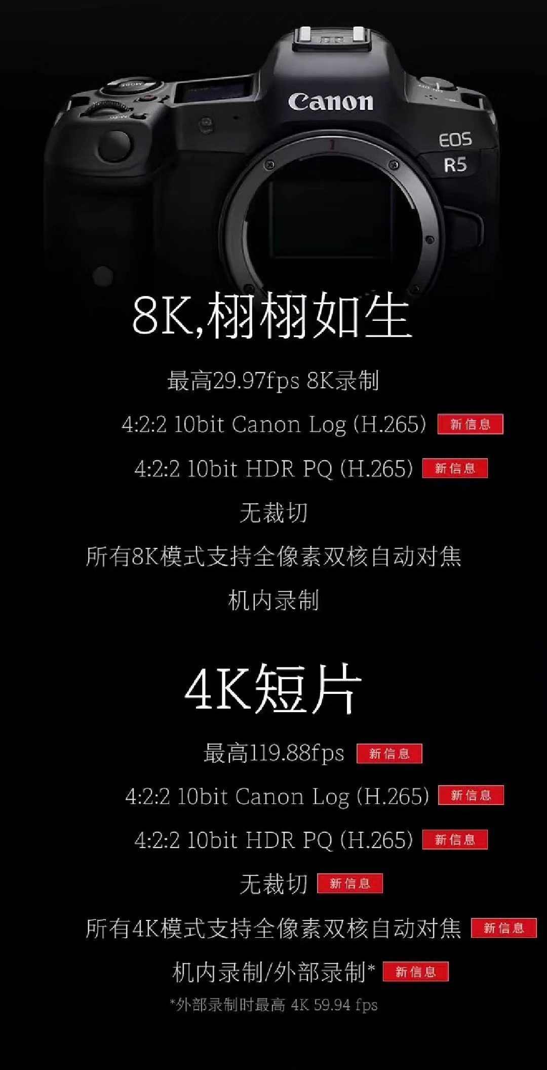 照相机sd卡在什么平台买比较好,相机sd卡推荐排行榜性价比高