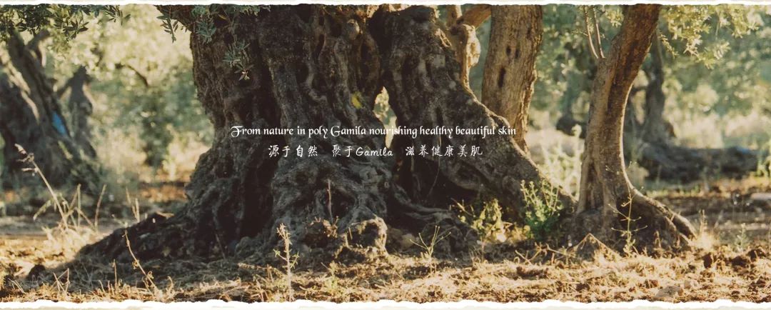 美妆banner海报,2021年度美妆品牌