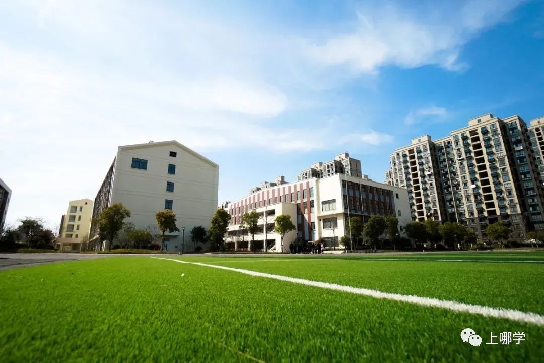 上海2020新增学位,上海各大学2024新增学位点