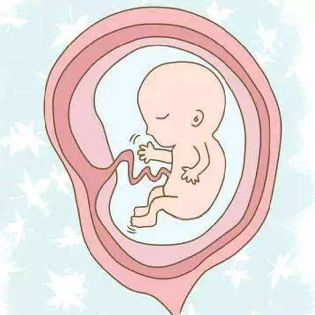 第一次做妈妈完整视频,第一次做妈妈完整版