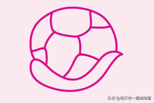 小乌龟简笔画的各种画法,如何画乌龟的简笔画教程