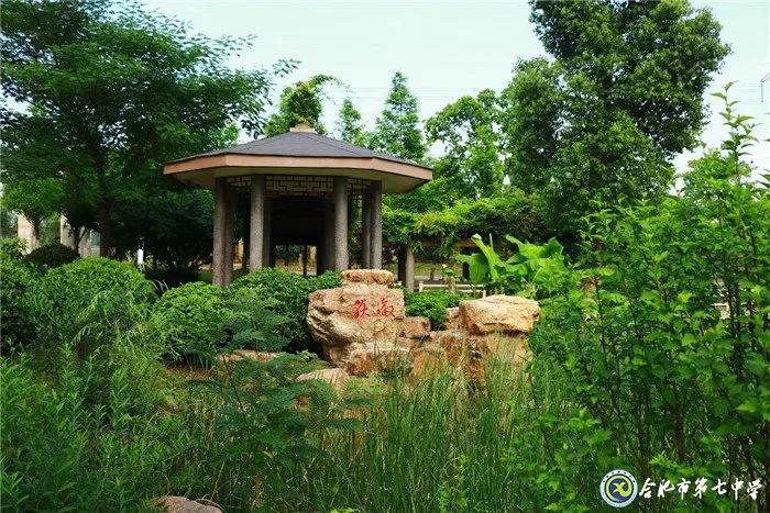 打卡合肥好玩的地方,合肥7中是重点高中吗