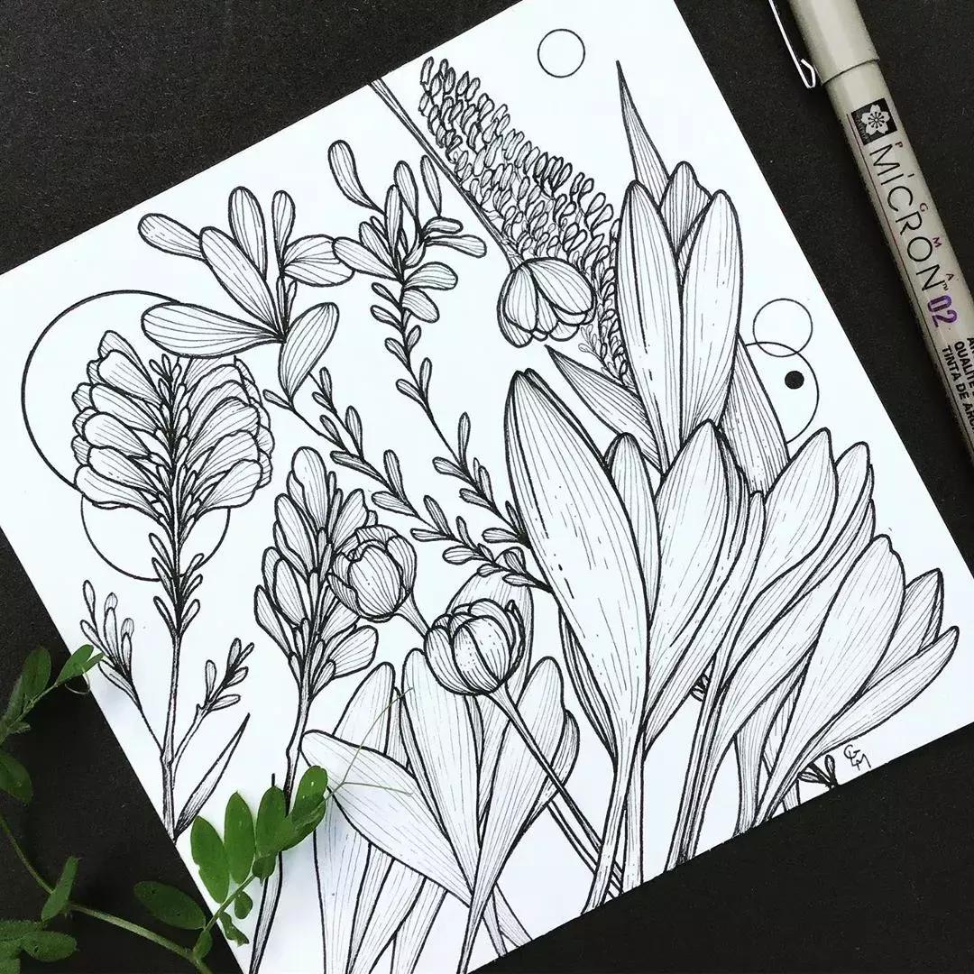 这一波手绘太给力了,绝对让你练完不厉害都难