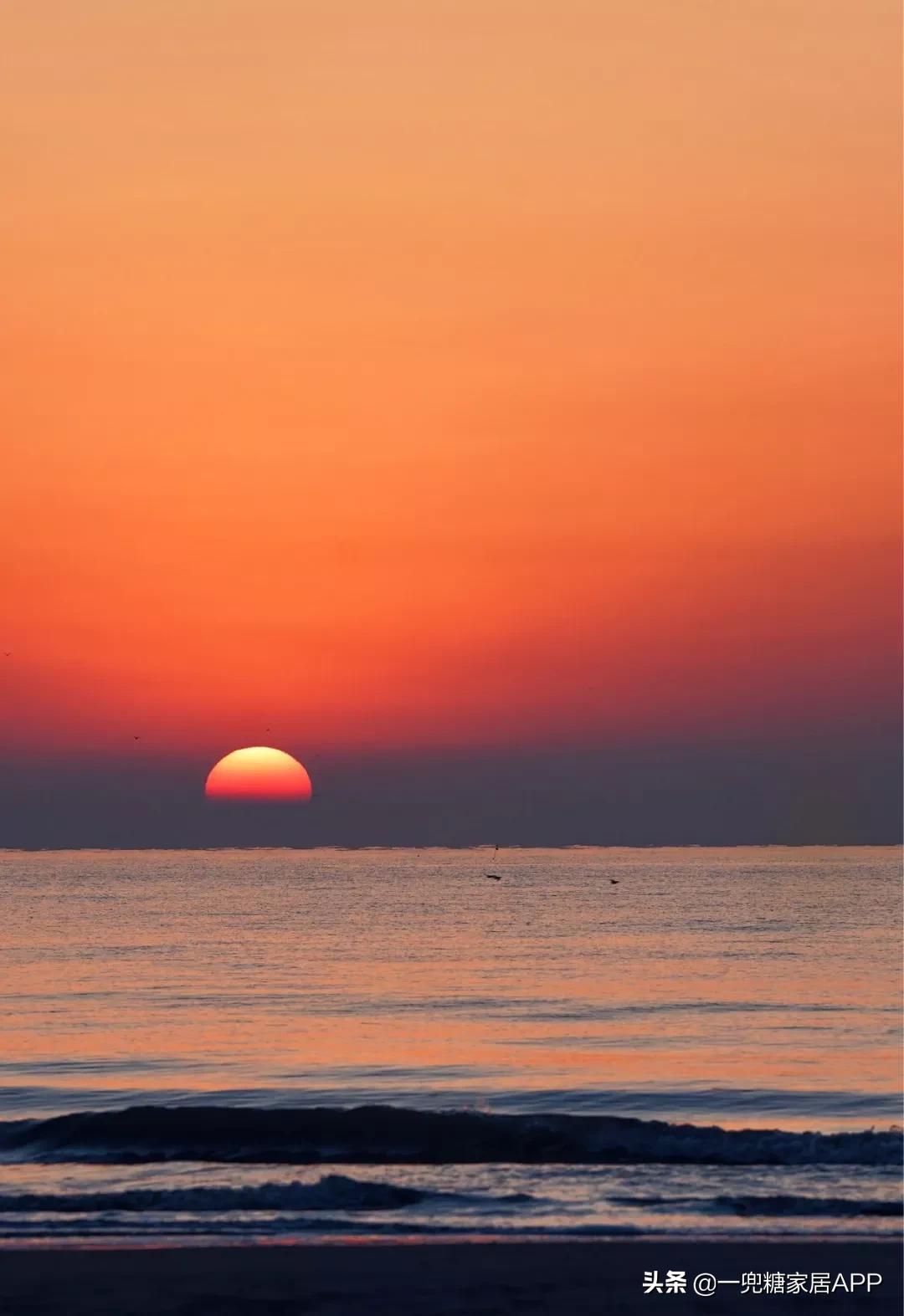 绉嶈崏鐢熸椿鏂瑰紡,绉嶈崏缁囧竷