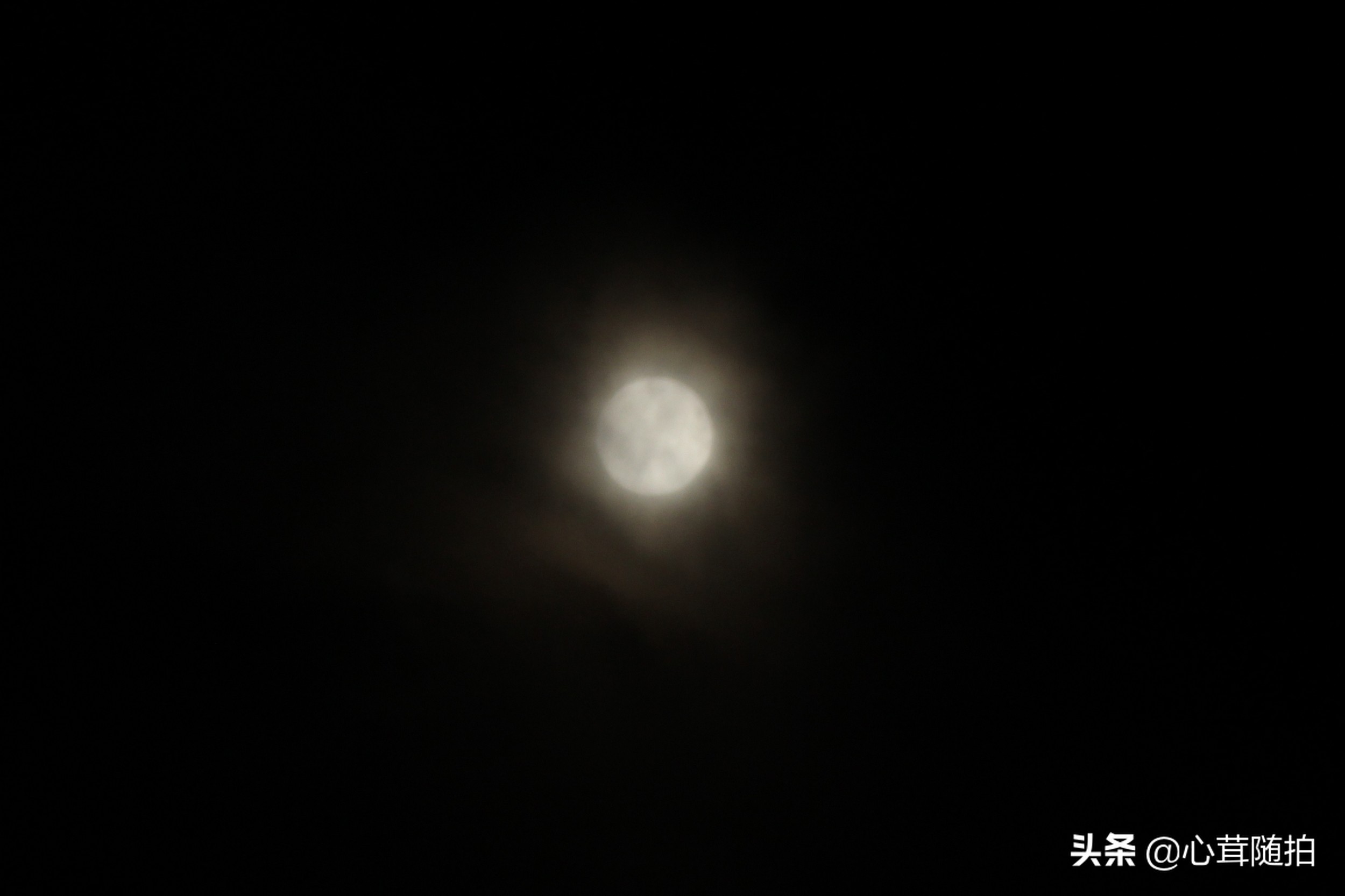 自驾白河湾,白河湾自然风景区自驾