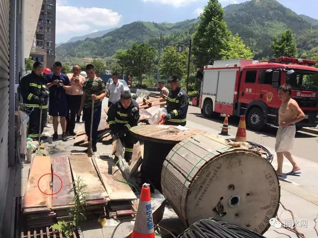 惠州小区发现眼镜蛇,一小区出现蛇