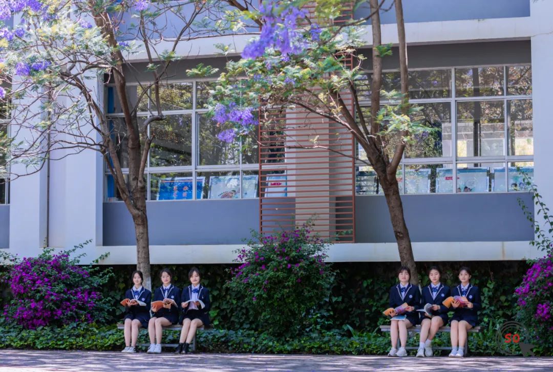 校园|遇见.初夏属于十中的紫色烂漫