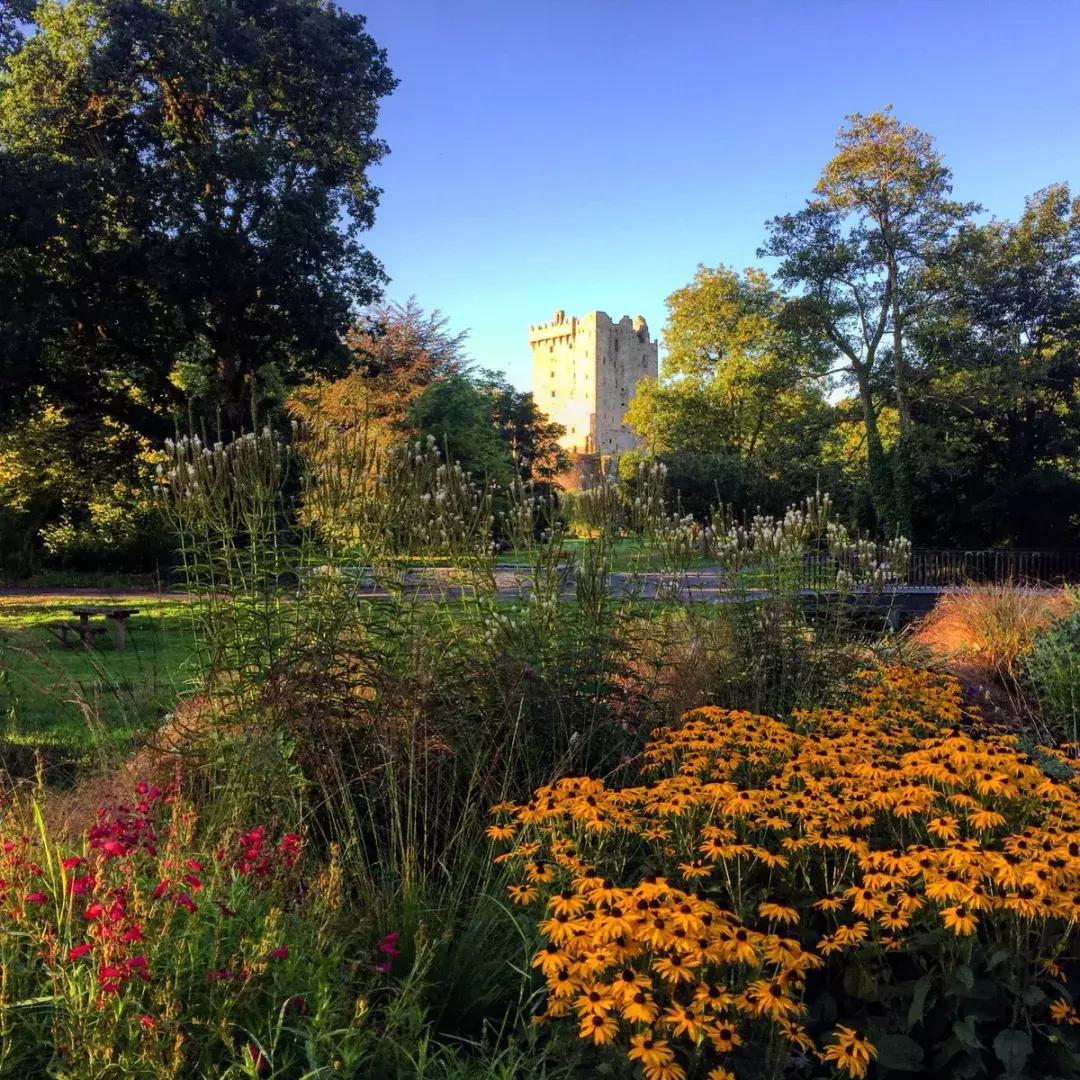 世界上唯一不允许结婚的国家,世界唯一一个不可以离婚的国家