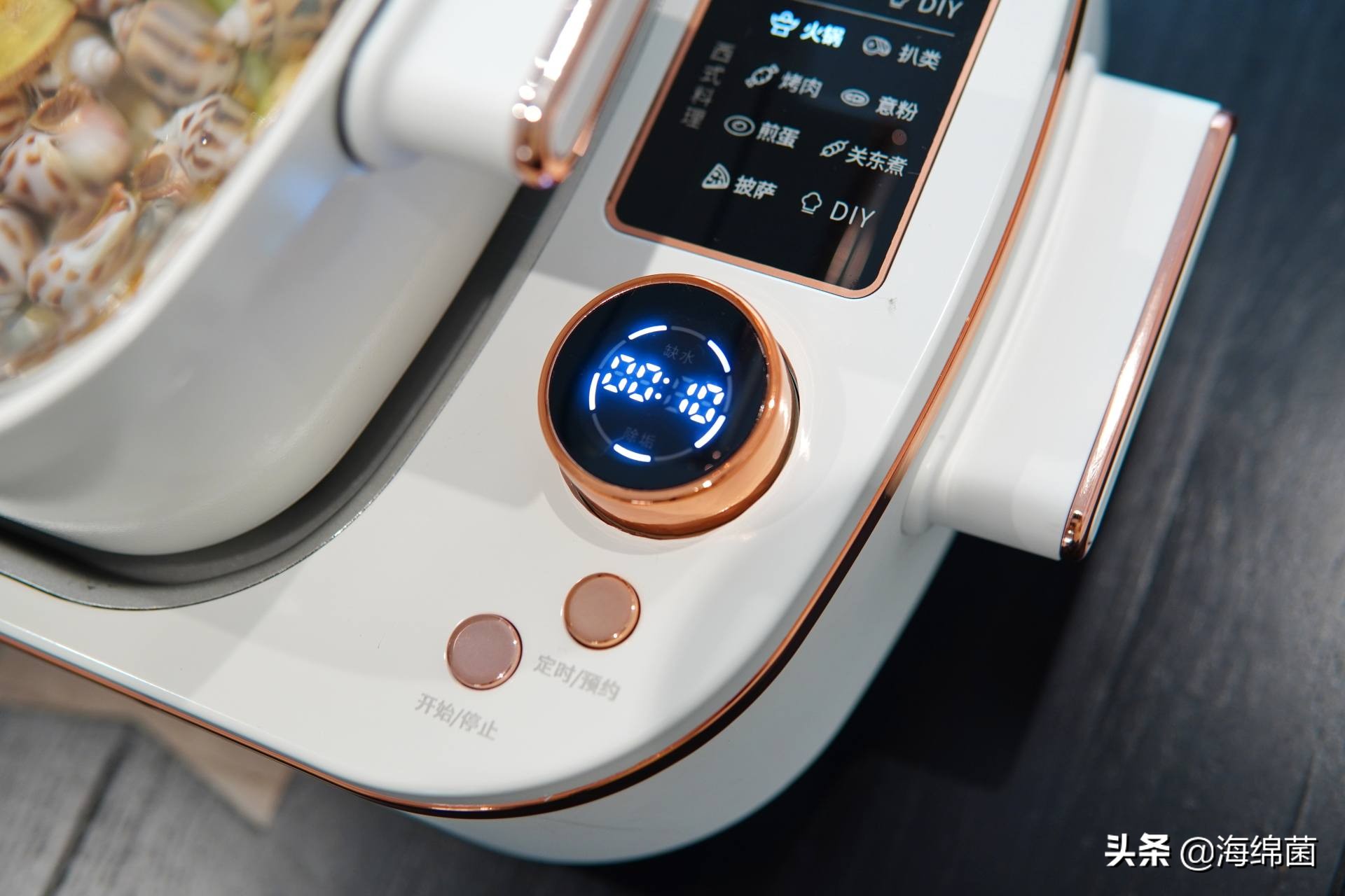 bolali博拉利多功能蒸汽料理锅,蒸汽桑拿锅测评