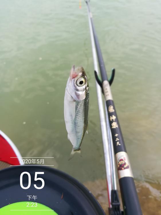 本汀神乐鱼竿暴强版,本汀神乐暴强硬7.2米鱼竿