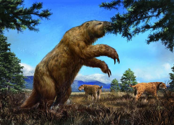 猛犸象冰河世纪的巨兽,冻土层下的猛犸象牙