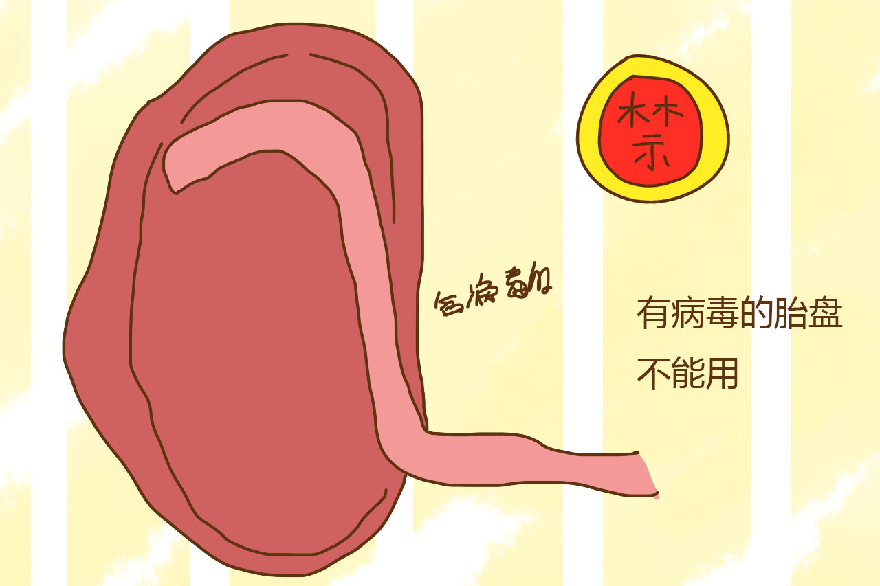 辟谣！胎盘到底是“十全大补”还是在吃蛋白质？看完你还要吃吗？