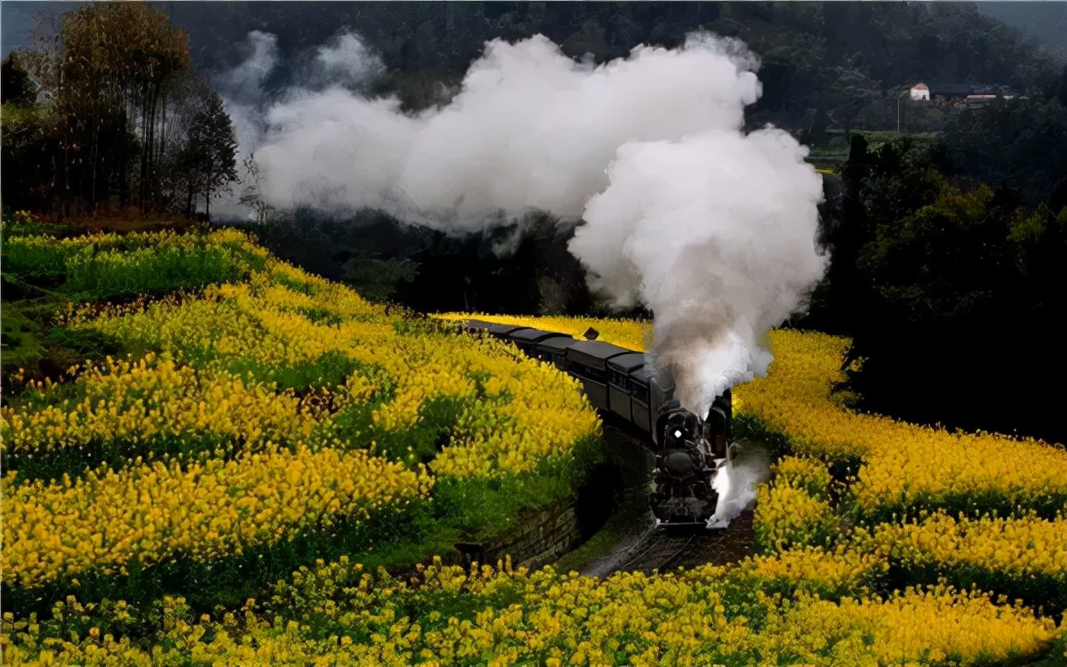 改革开放40周年有关英文视频,改革开放英语金句