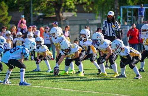 体育培训行业到底赚不赚钱,青少年体育培训机构盈利模式