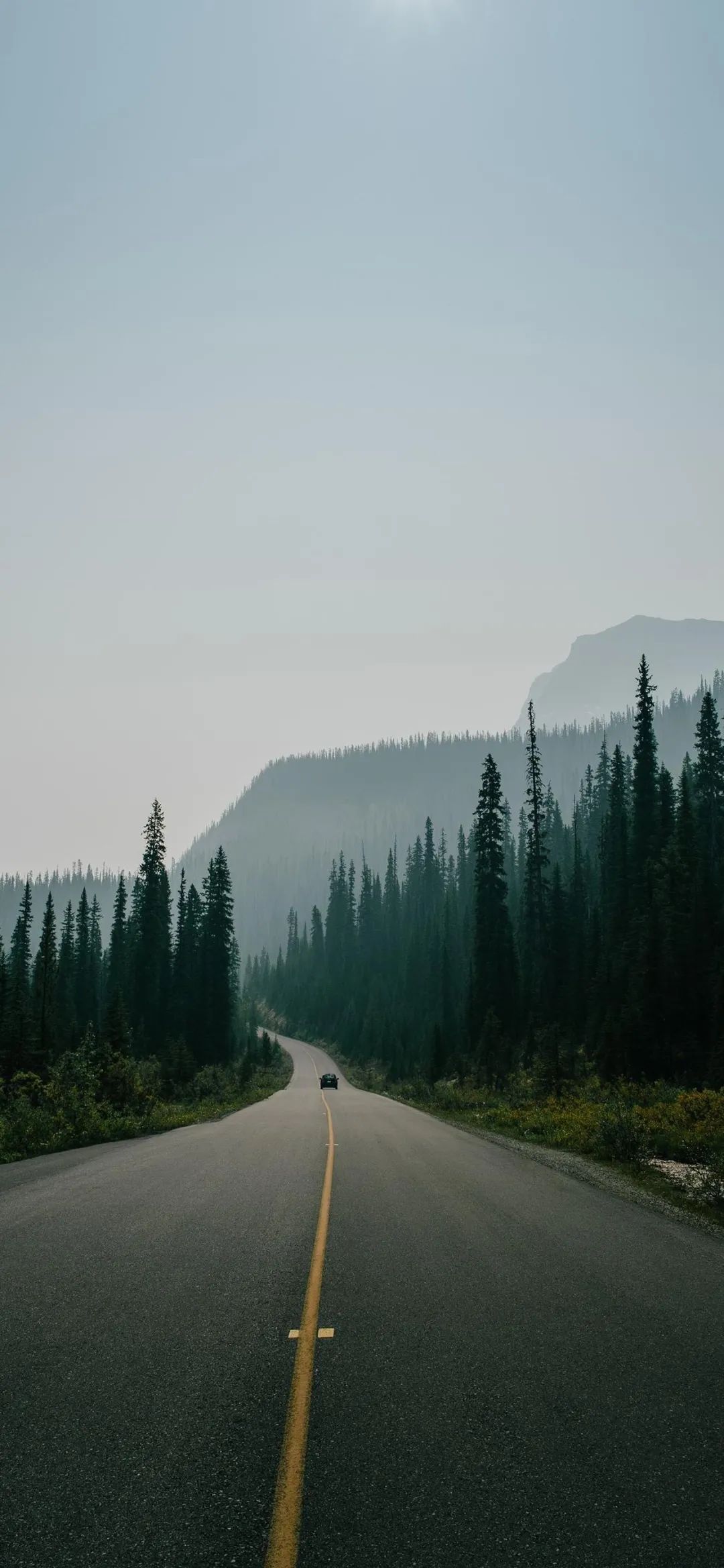 壁纸超清4k手机壁纸iphone6,iphone壁纸第五人格