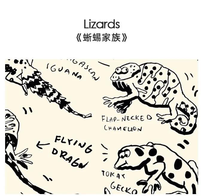 生活方式的提案,汇聚千种美好生活提案