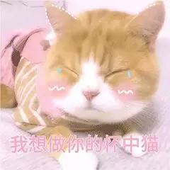 意大利留学名校推介｜罗马第一大学——欧洲最大的公立大学