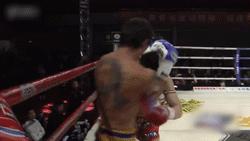 苍山少侠付高峰ko集锦,苍山少侠付高峰秒杀日本选手