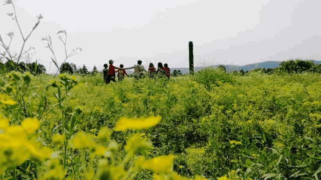 一帮闺蜜自驾游,环中俄边境自驾之旅