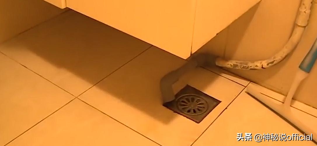 揭秘神秘组织防水补漏帮,安徽补漏帮是怎么兴起的