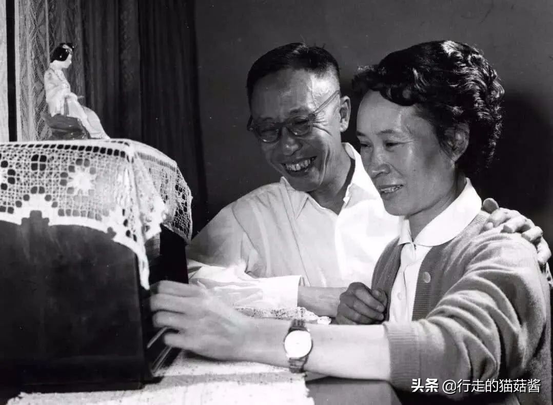 伪满皇宫博物院大气航拍,伪满皇宫各楼平面图