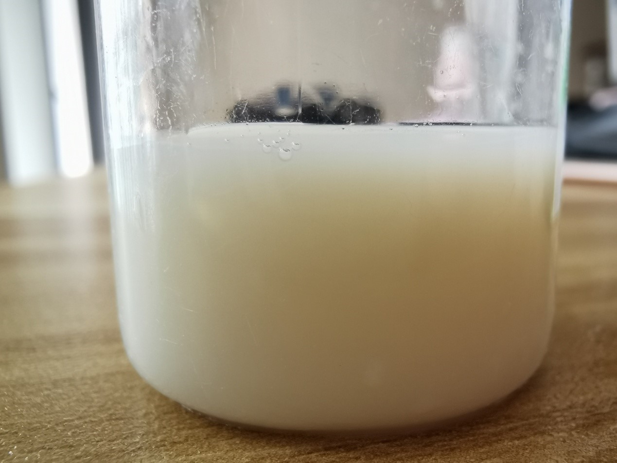 安佳新西兰进口脱脂奶,安佳新西兰进口纯牛奶为何是酸的