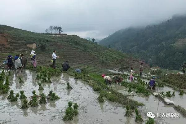 傣族的传统节日手抄报,傣族传统节日和特色美食