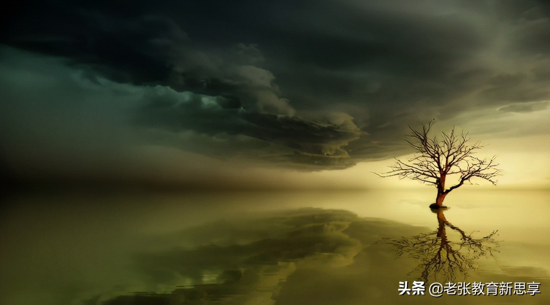 人生赢家厚积薄发,厚脸皮的人生路越走越顺