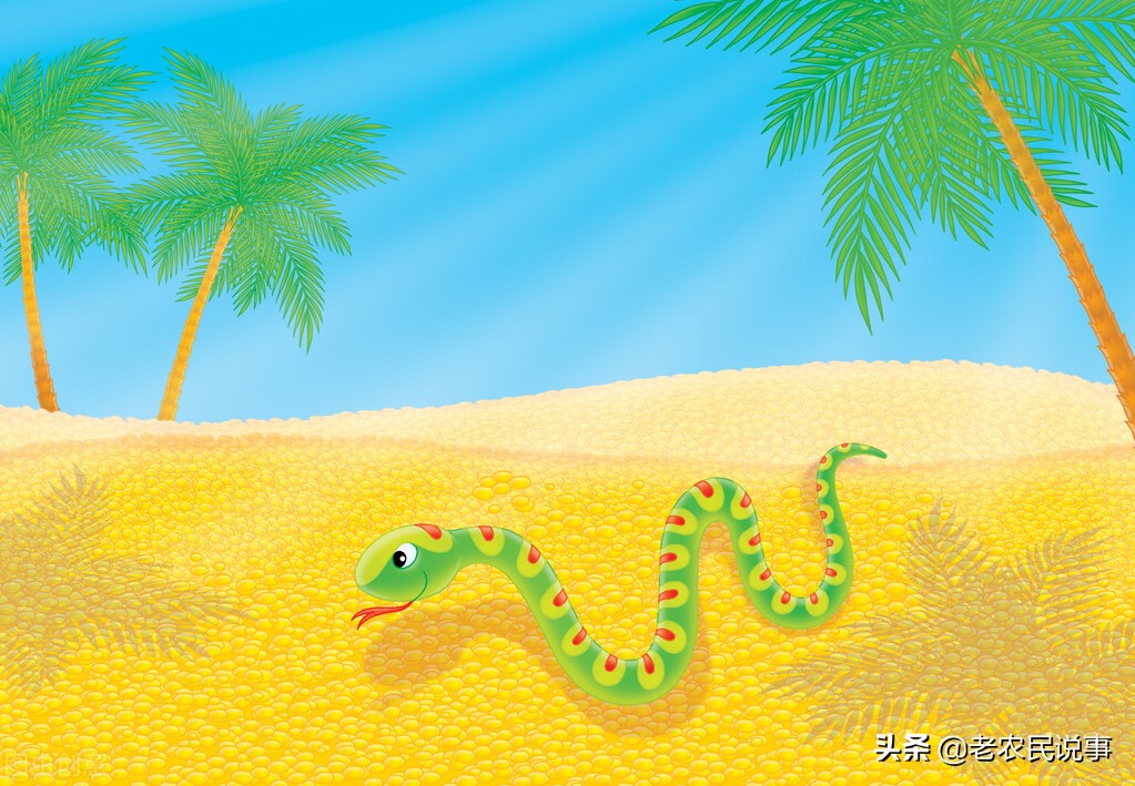 农村房子有什么方法防止蛇出没,怎么避免农村房屋边上有蛇