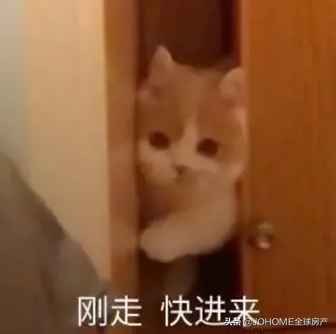 怎么识别留学圈渣男,怎么区分留学生渣女