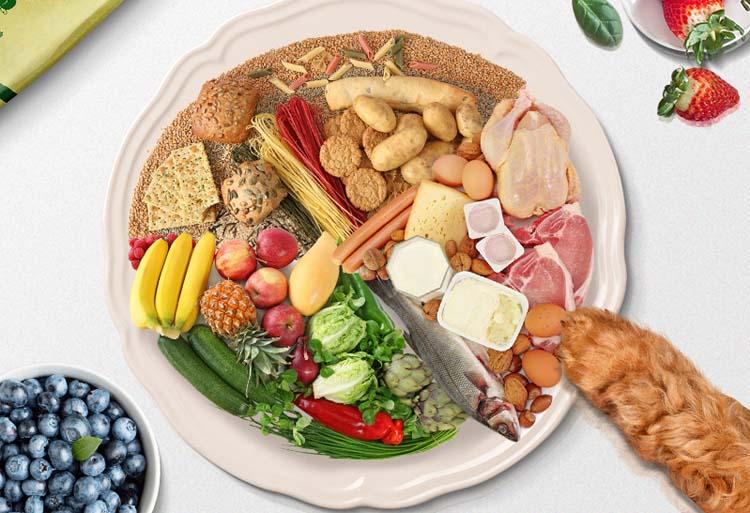 狗粮哪个牌子质量好性价比高,国产狗粮哪种便宜又性价比高