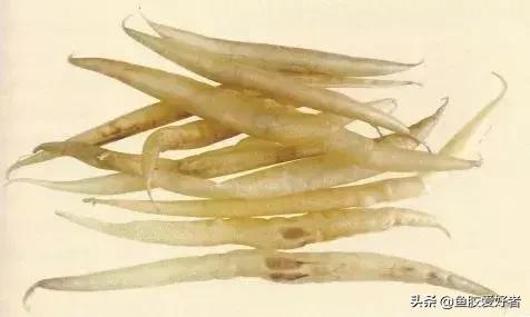 哪种鱼胶最好7种鱼胶的分类,鱼胶知识与食用方法