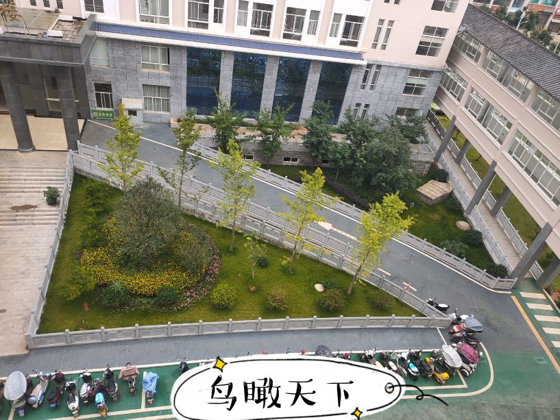 肛周脓肿中医,肛周脓肿发烧