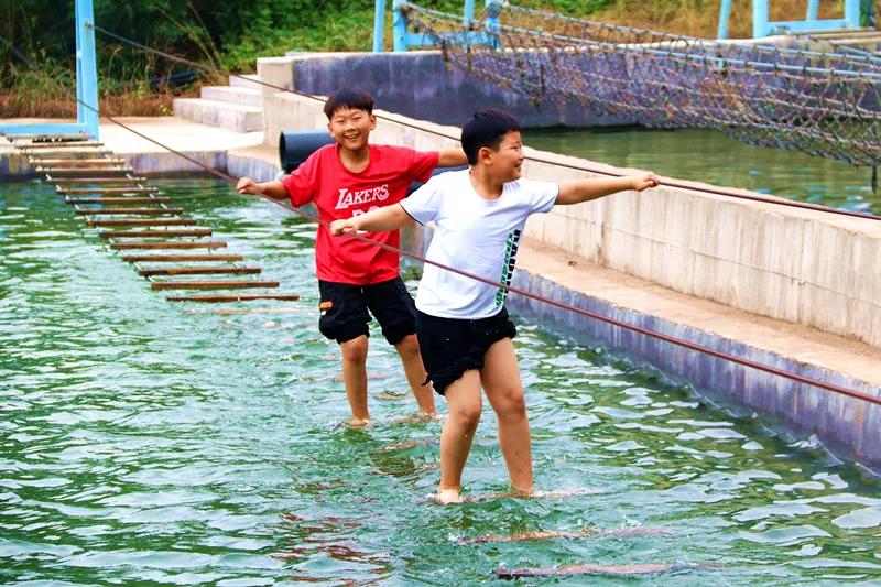 抱犊崮风景区高考门票免费,抱犊崮门票半价政策