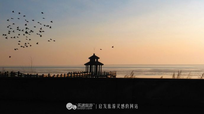 东土大唐取经路,东土大唐一条街