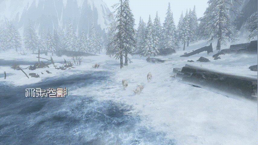 与狼相比，狗是一种品格低劣的物种